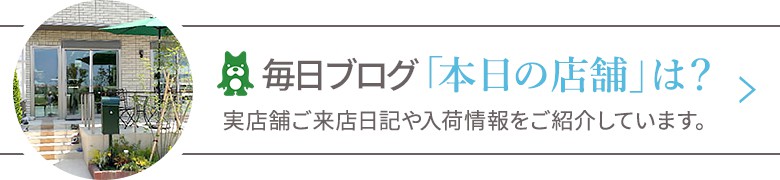 インフォニック公式ブログバナー