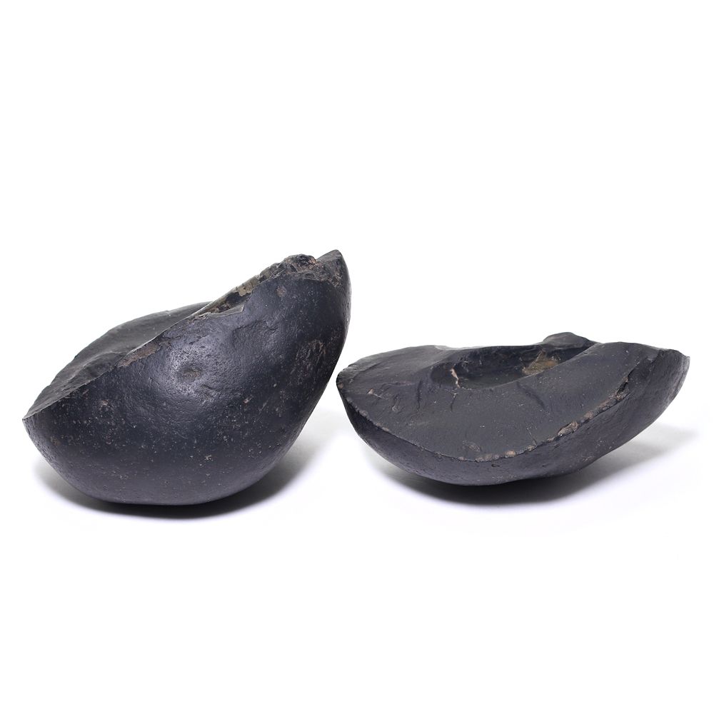 記念特価★ネパール産バキュリテス化石(原石ペアセット/289g)-slide-1