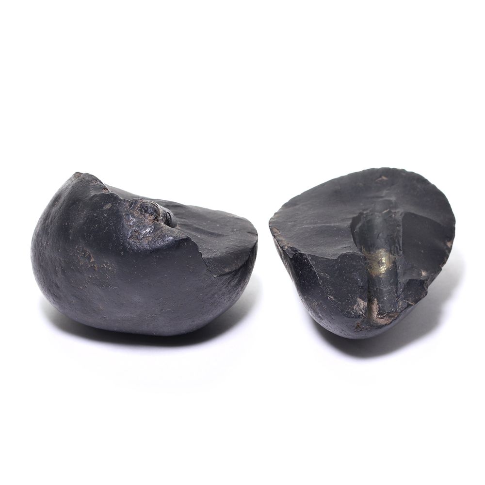 記念特価★ネパール産バキュリテス化石(原石ペアセット/289g)-slide-2