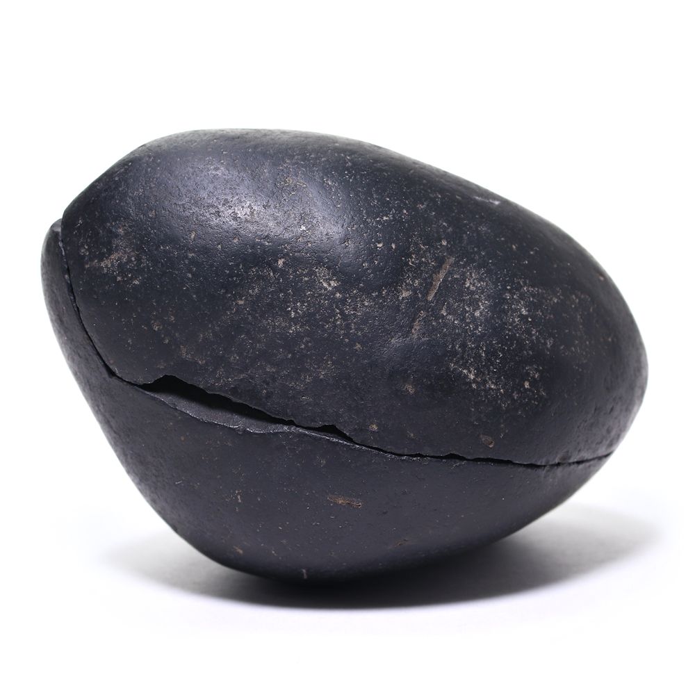 記念特価★ネパール産バキュリテス化石(原石ペアセット/289g)-slide-4