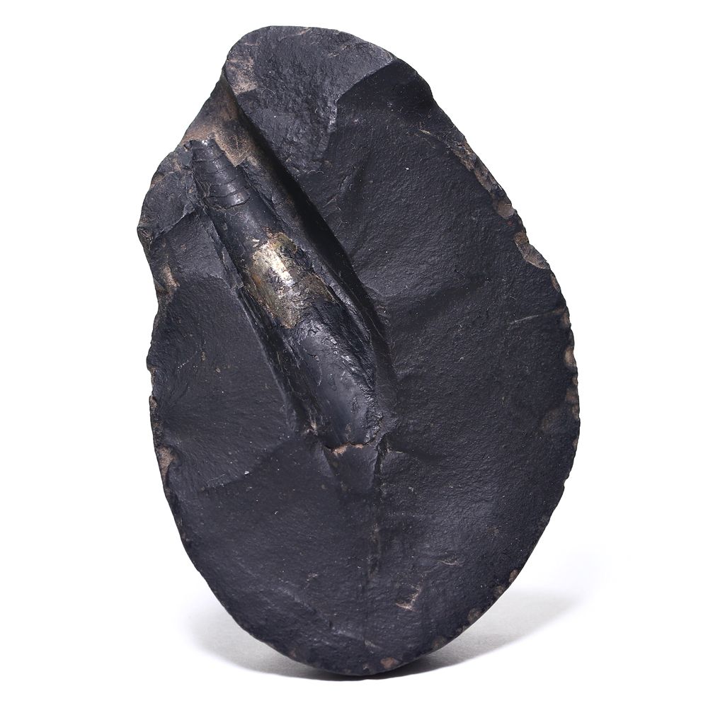 記念特価★ネパール産バキュリテス化石(原石ペアセット/289g)-slide-6