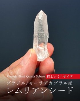 [10/10]ブラジル/セーラデカブラル産レムリアンシード（程よいミニサイズ）