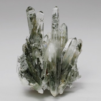 ガネッシュヒマール産ヒマラヤ水晶クラスター/角閃石内包（ミニサイズ原石18.7g）(GNEZ-CL0187)