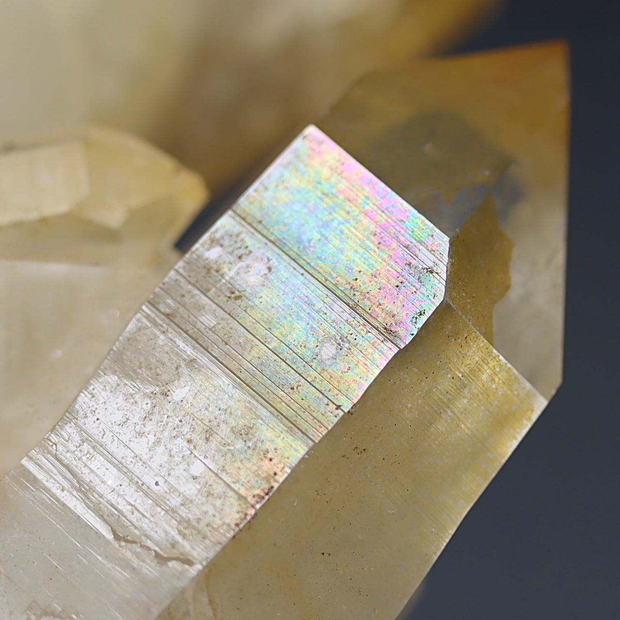 パキスタン/スカルドゥ産水晶ゴールデンヒーラークラスター(原石228g)-slide-9