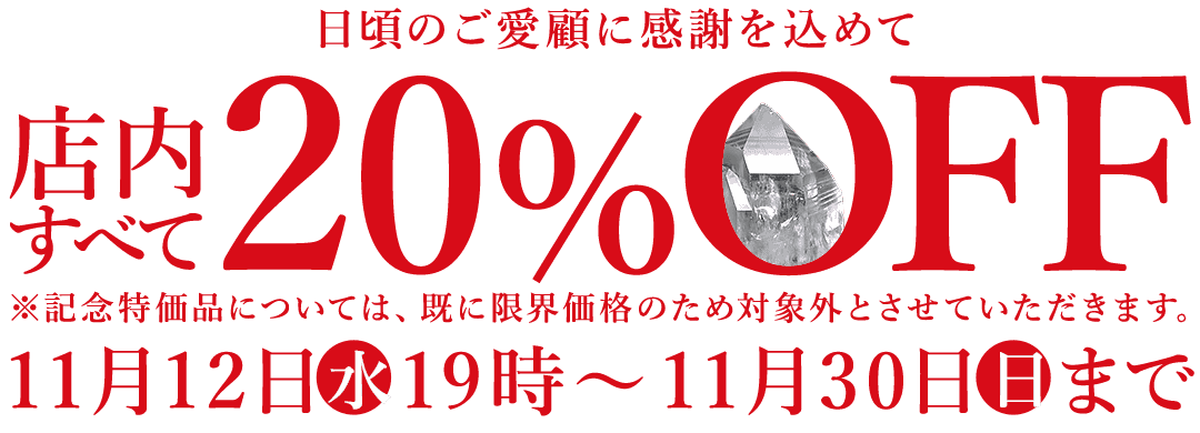 【リードバナー】大感謝祭20%OFF