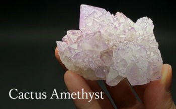 カクタスアメジストクラスター（未加工原石、群晶） - 埼玉県吉川市の