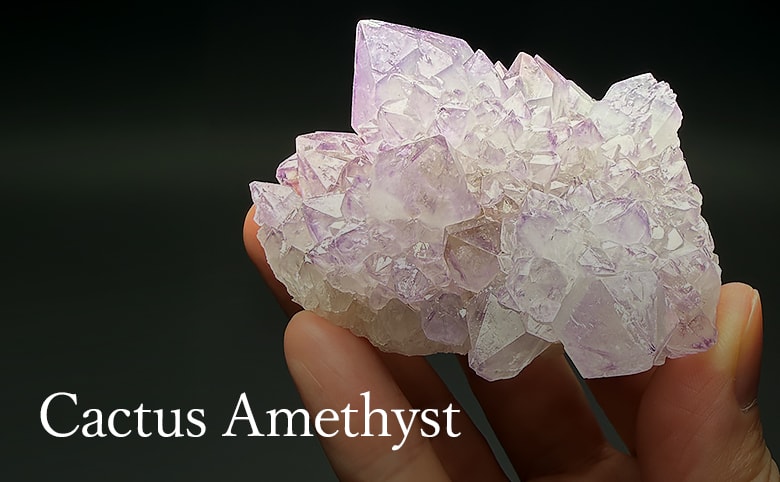 カクタスアメジストの商品イメージ写真