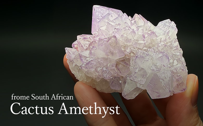 南アフリカ産カクタスアメジストの商品イメージ写真