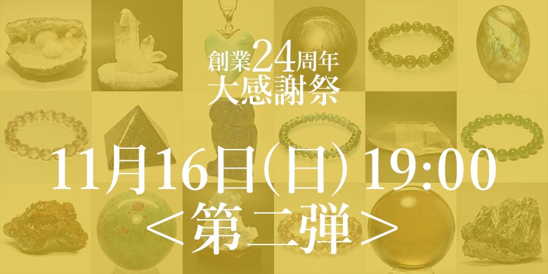 記念特価＜第2弾追加＞11月16日(日)