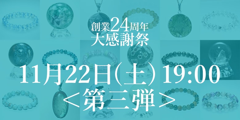 記念特価＜第3弾追加＞11月22日(土)