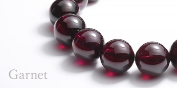 cat_garnet-350x175.jpg