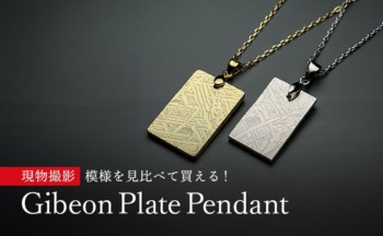 現物撮影】ギベオン隕石プレートペンダント（ネックレストップ