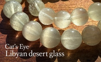 cat_libyan_catseye_br_482-