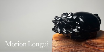cat_morion_longui-350x175.jpg