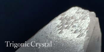 cat_trigonic-350x175.jpg