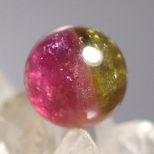 3A++]バイカラートルマリン1粒売り（9.7mm） - 埼玉県吉川市の